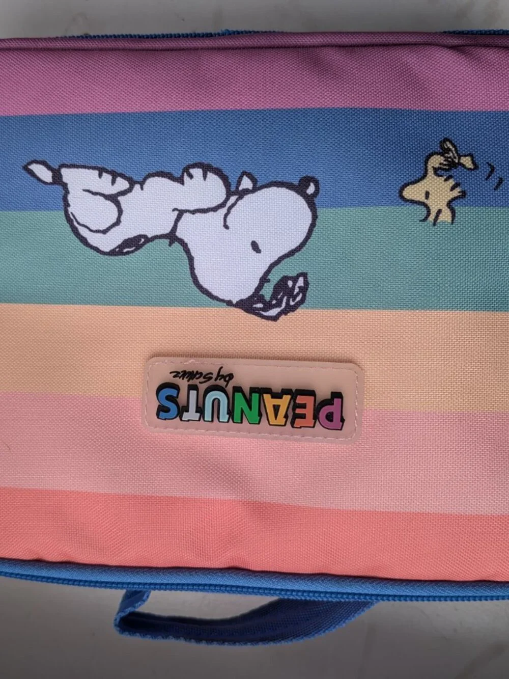 Snoopy Peanuts Kids Lunch Box / Insulated Lunch Bag for School